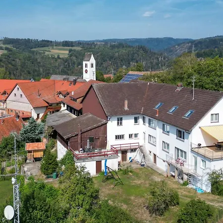 Wohnung Mit 6 Schlafzimmern Fuer 12 Gaeste Und Mehr Waldshut-Tiengen Exterior foto