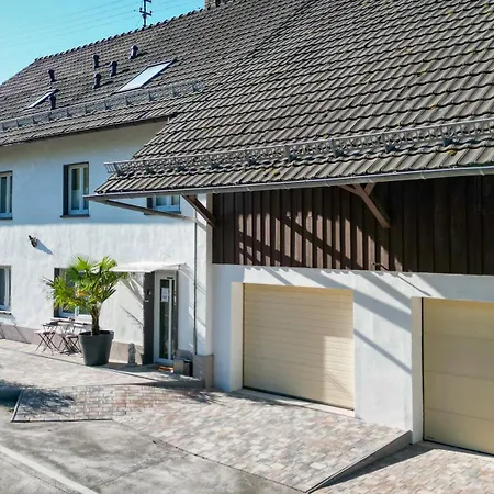 Wohnung Mit 6 Schlafzimmern Fuer 12 Gaeste Und Mehr Waldshut-Tiengen Exterior foto