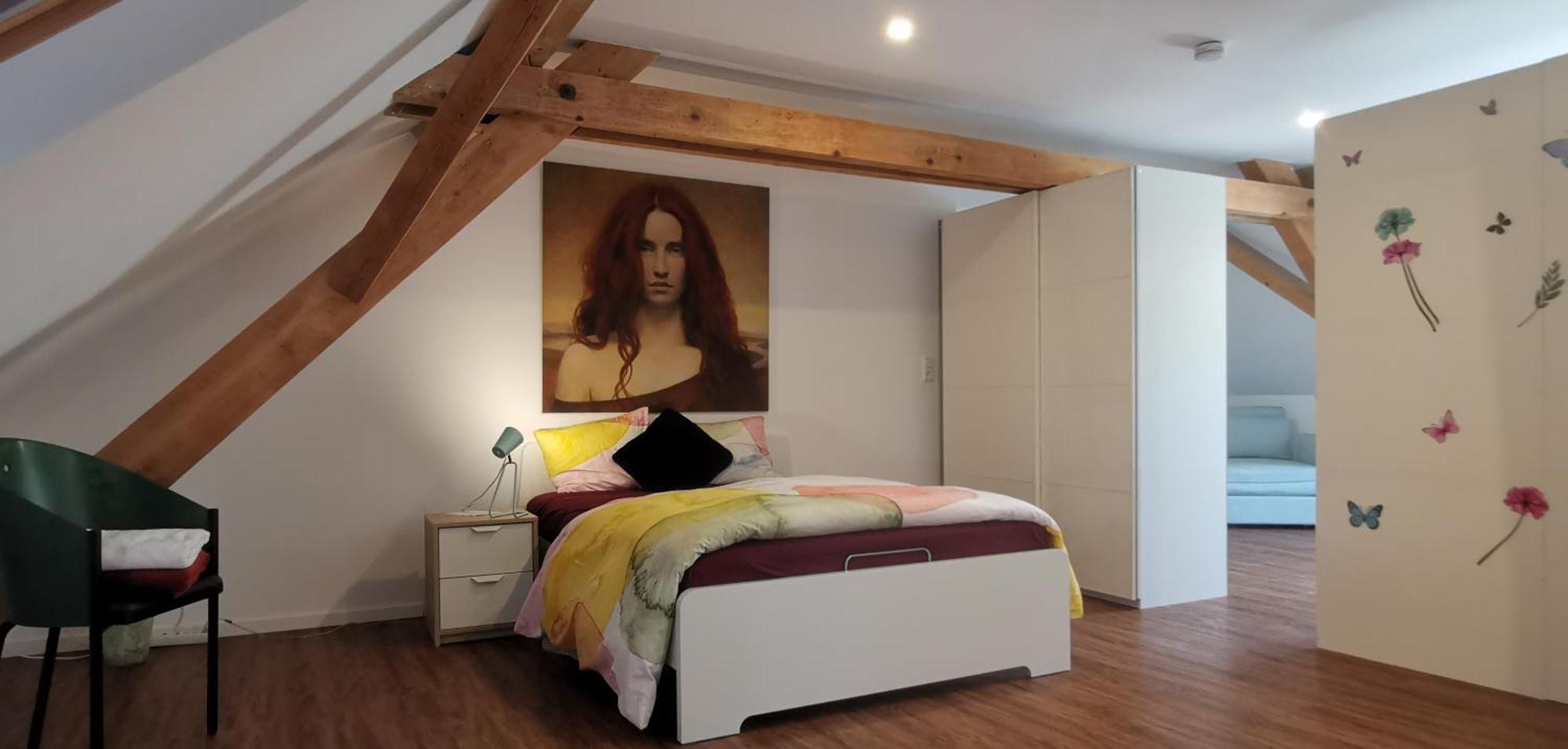 Esc Basel 50 Minuten, Mit 6 Schlafzimmern Fuer 12 Gaeste Und Mehr Apartment