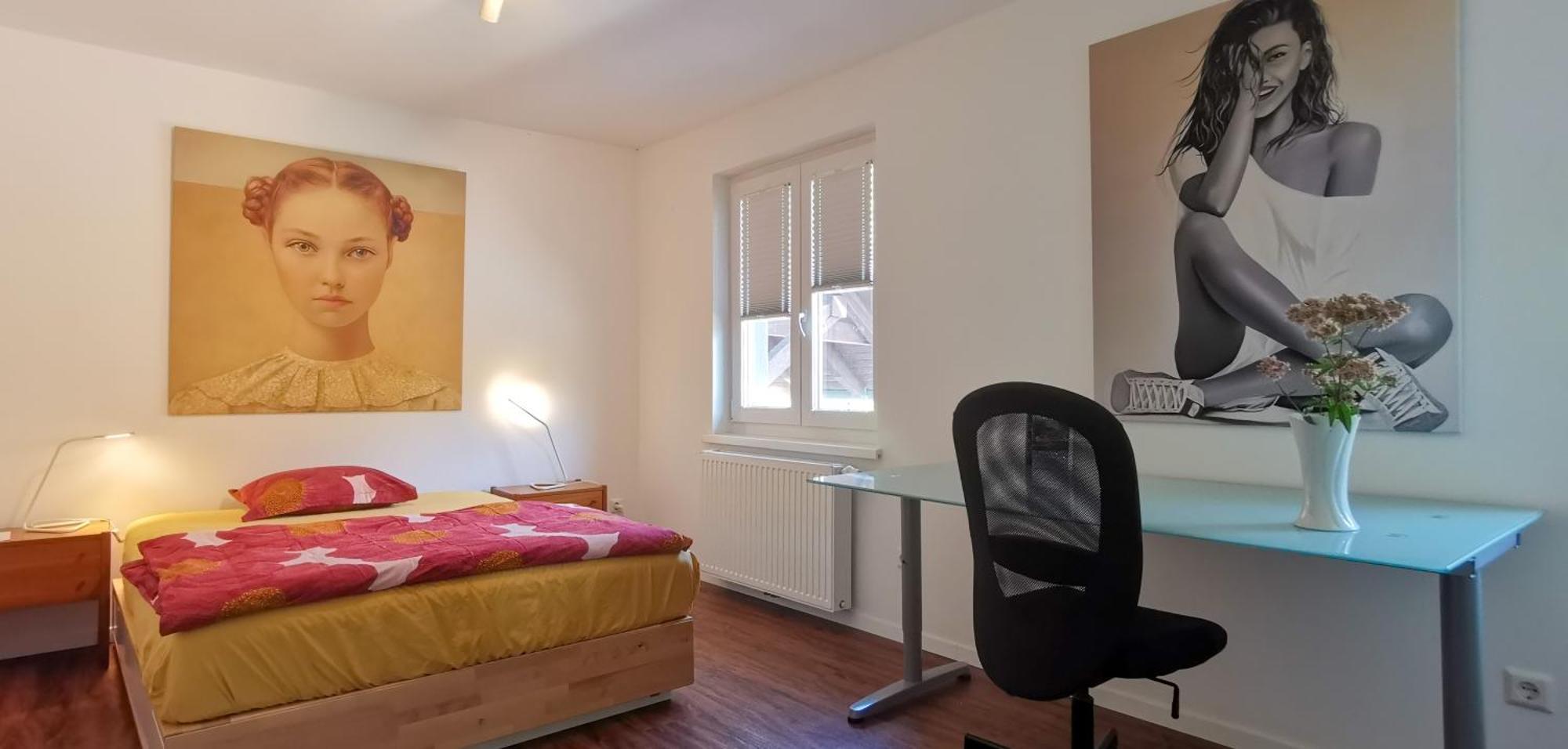 Apartment Esc Basel 50 Minuten, Mit 6 Schlafzimmern Fuer 12 Gaeste Und Mehr