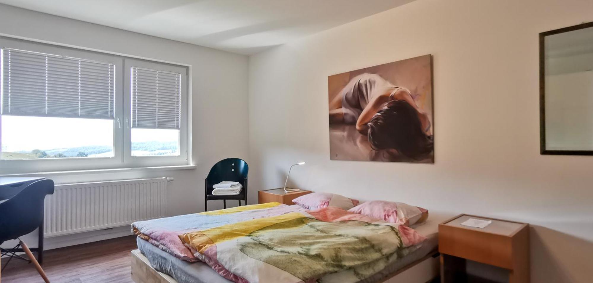 Esc Basel 50 Minuten, Mit 6 Schlafzimmern Fuer 12 Gaeste Und Mehr Apartment *