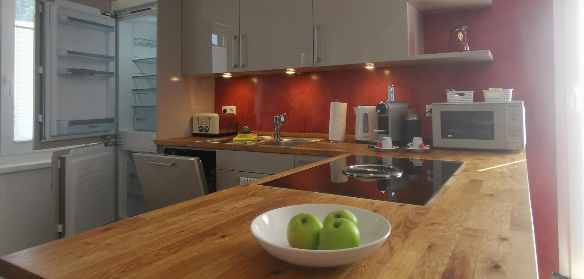 Apartment Esc Basel 50 Minuten, Mit 6 Schlafzimmern Fuer 12 Gaeste Und Mehr